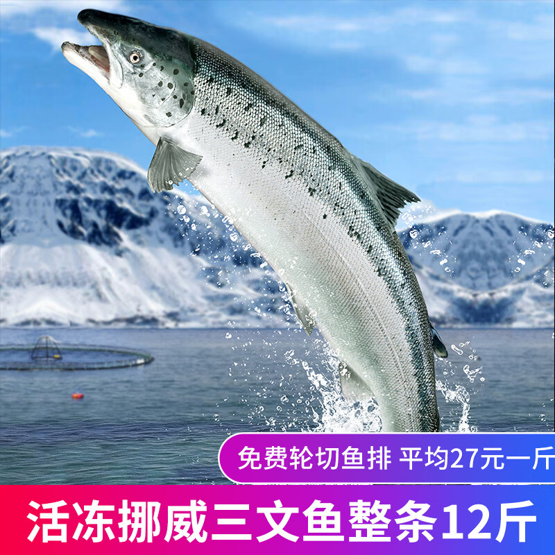 帝王鲑刺身拼盘即食生鱼片日料净肉400g超朴 挪威三文鱼整条活冻12斤