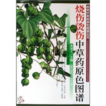 烧伤烫伤中草药原色图谱【正版图书，放心购买】怎么样,好用不?