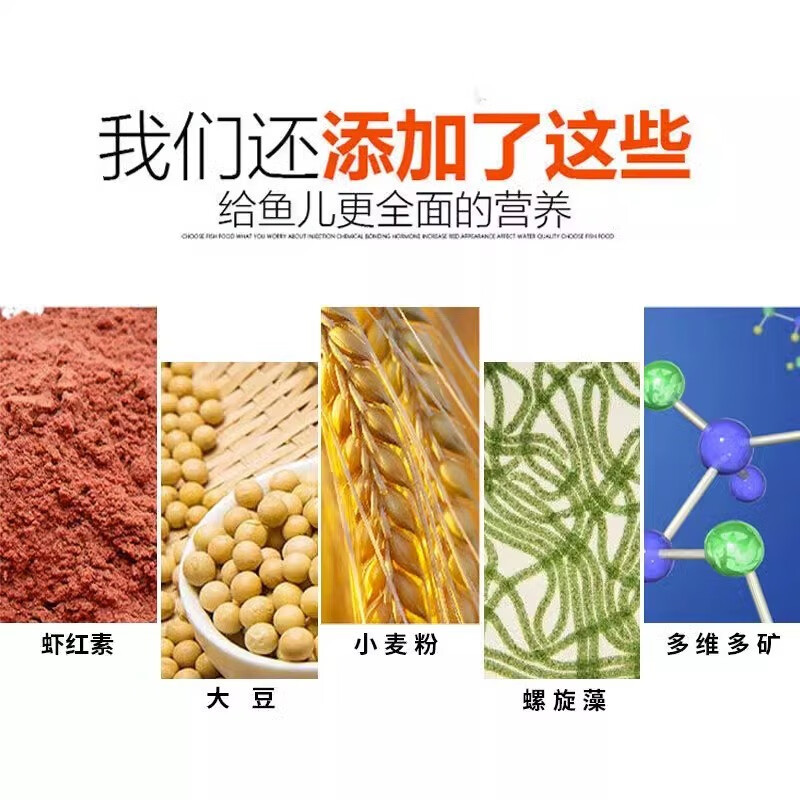 尛宝小型鱼通用型鱼粮淡水鱼缓沉小颗粒饲料鳑鲏鱼麦穗鱼原生鱼鱼食 1mm高营养缓沉鱼粮500克