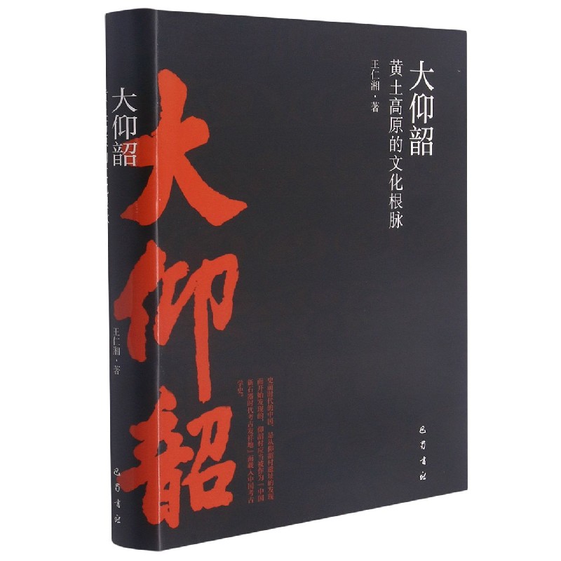 大仰韶(黄土高原的文化根脉)(精)