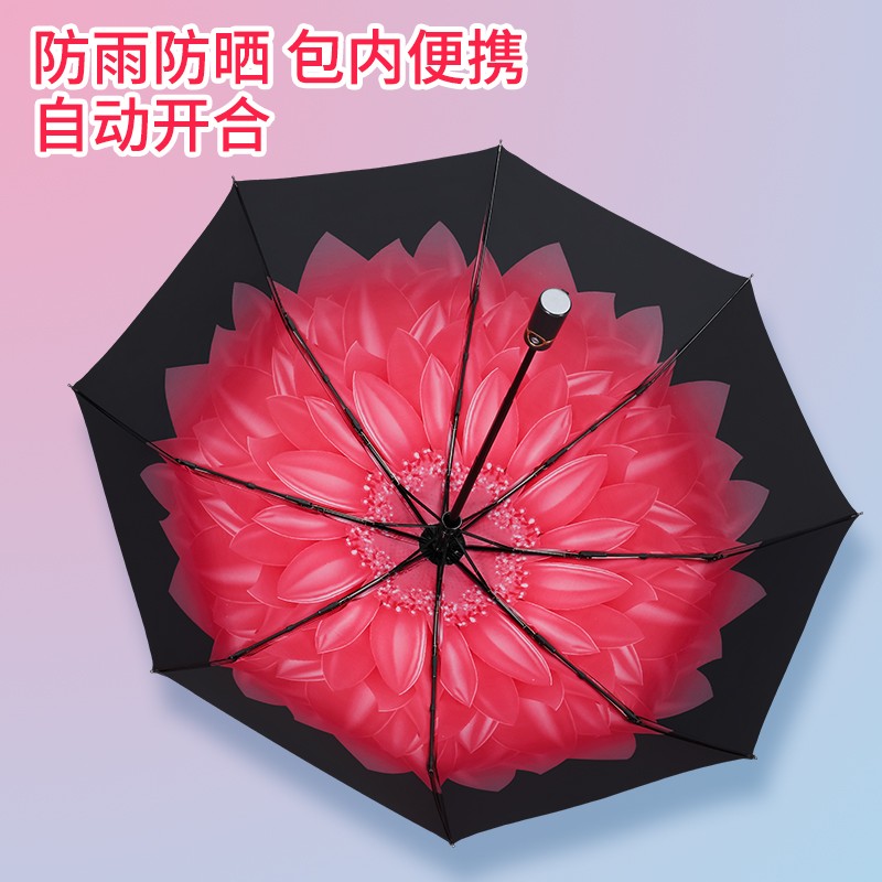雨伞雨具近期价格走势如何|雨伞雨具价格历史