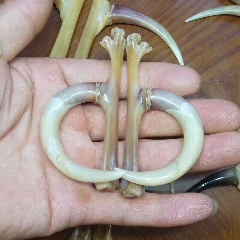 法兰加文玩鸡爪骨文玩手持雕刻鸡爪子抓钱手老公鸡蹬爪骨头文玩鸡脚 1