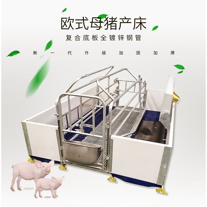 猪用产床欧式单体产床仔猪保育床双体母猪分娩床母猪产床