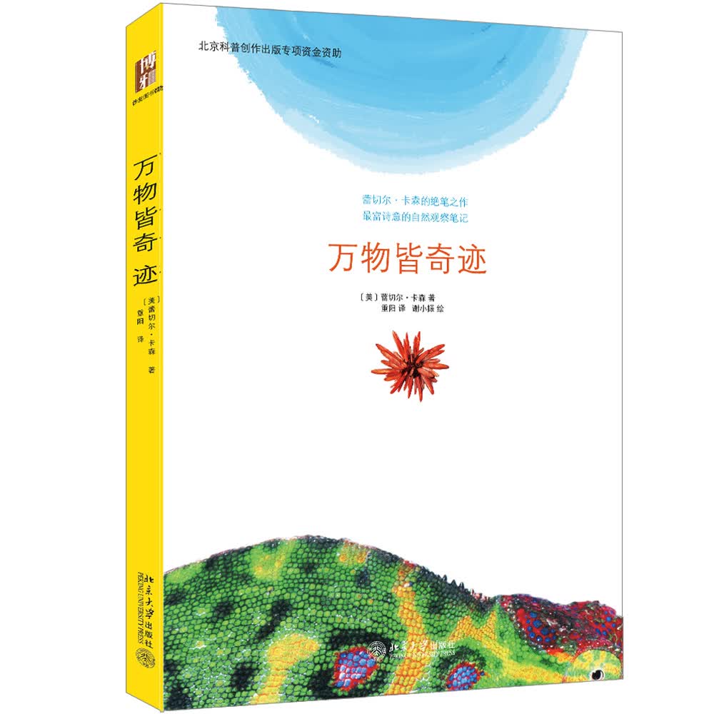 万物皆奇迹