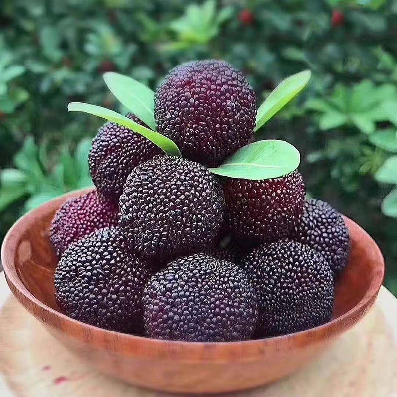 中优凤柏浙江宁波新鲜杨梅荸荠杨梅当季时令水果孕妇水果鲜果送礼云南