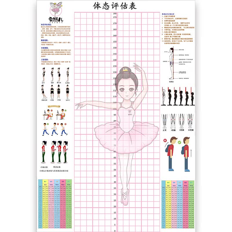 青少年儿童身高体态评估表站姿体测网格背景体 130x190cm粉舞蹈贴式送