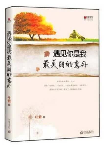 遇见你是我美丽的意外9787510436642