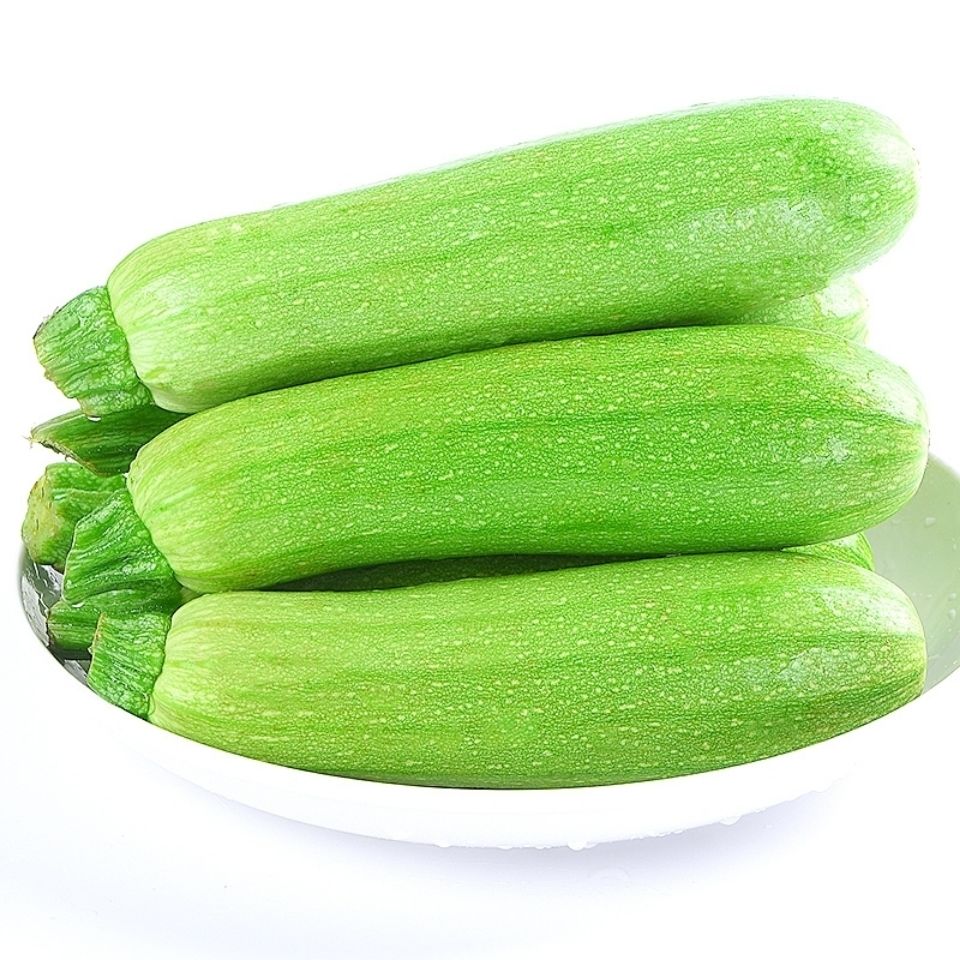 新鲜蔬菜西葫芦三月瓜小瓜茭瓜南瓜现摘现发产地直发 9斤品质瓜