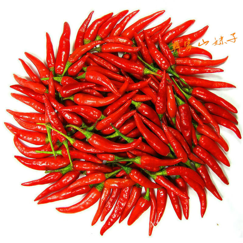 隽颜堂云南特产新鲜小米辣 红辣椒小米椒朝天椒 很辣可制泡椒手工剁椒