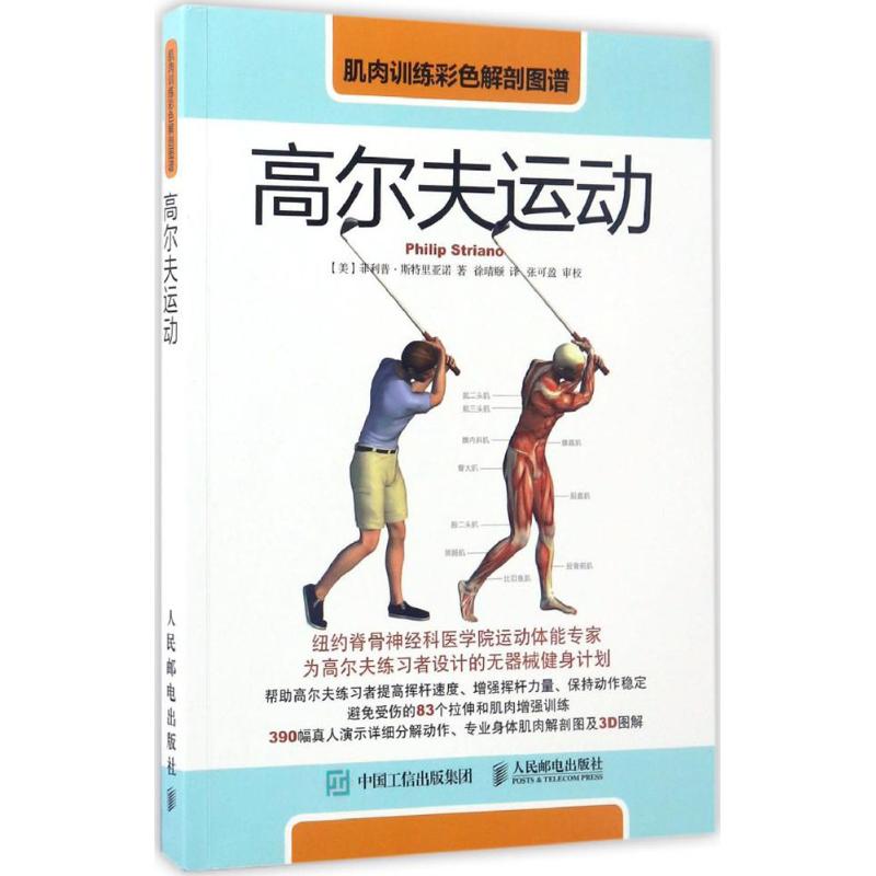 肌肉训练彩色解剖图谱高尔夫运动