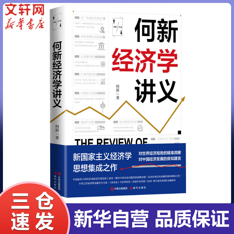 何新经济学讲义 何新 书籍