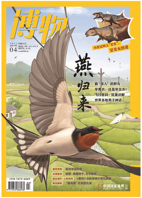 博物2023年4月/期总第232期 燕归来 现货