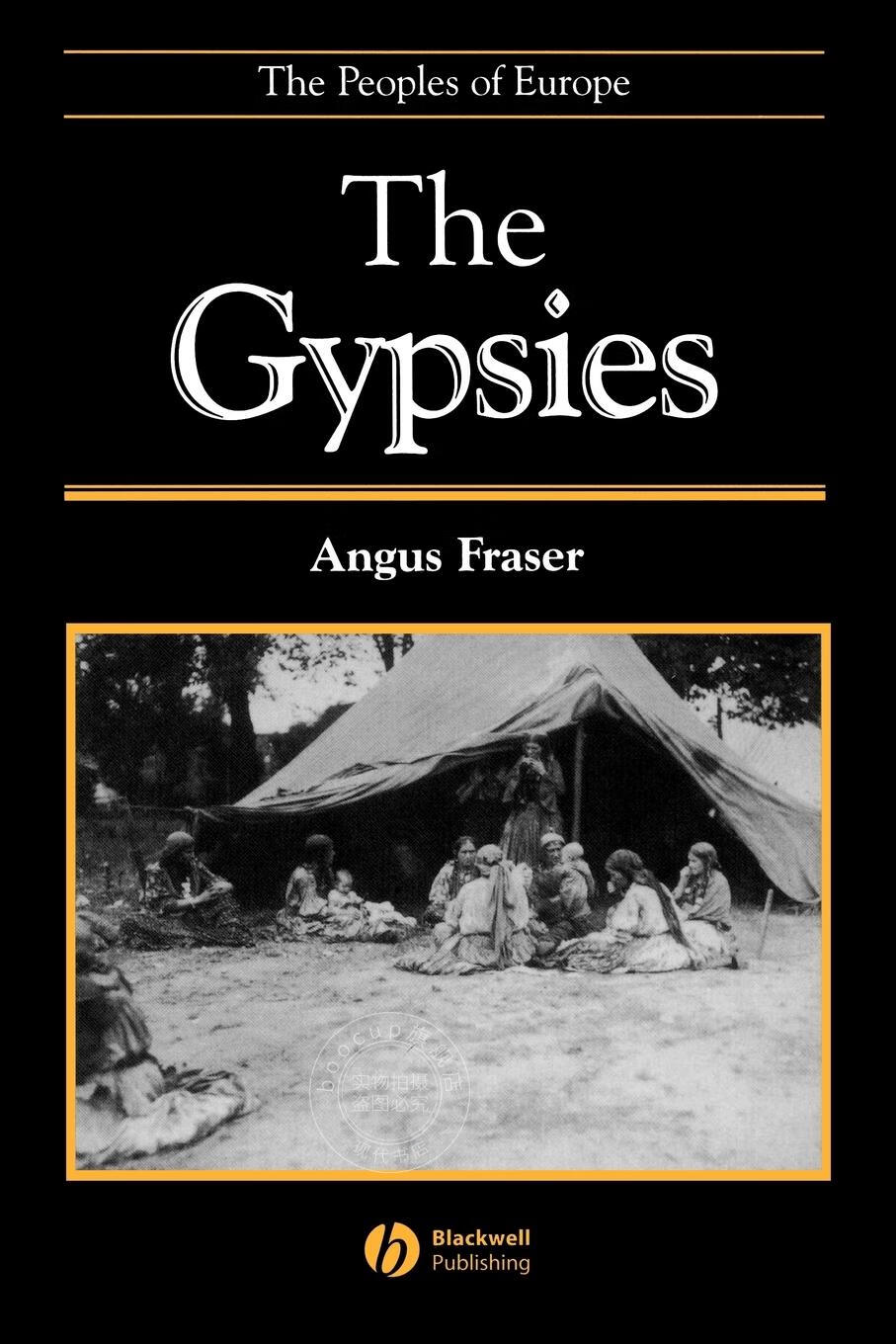 【2周达】【预售 按需印刷】gypsies 2e