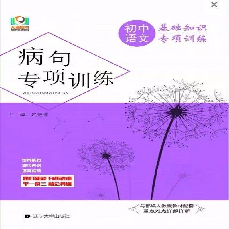 初中语文基础知识专项训练病句综合学习字音字形文化文学词语运用 病句专项训练