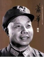 陈光画传
