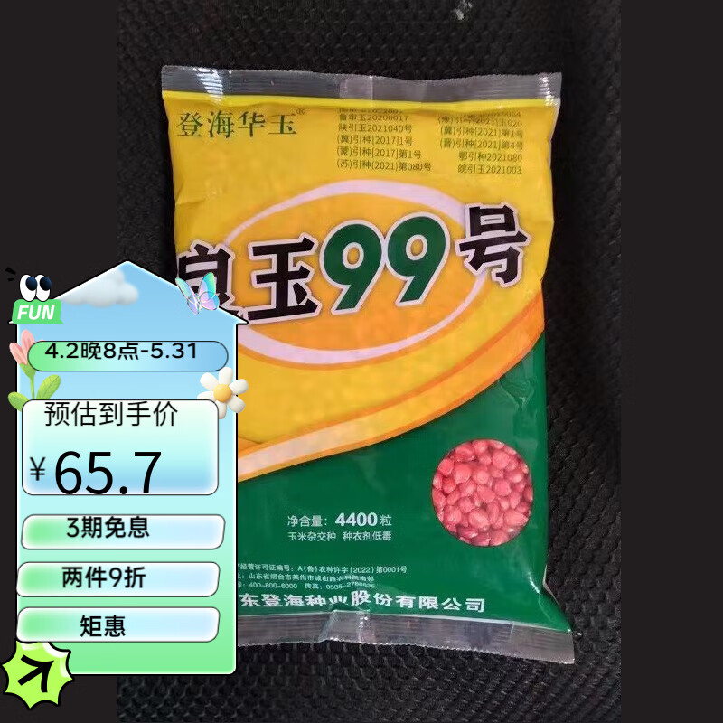 细辛良玉99玉米种登海良玉99号官方原装抗倒强稳产玉米良玉99号新