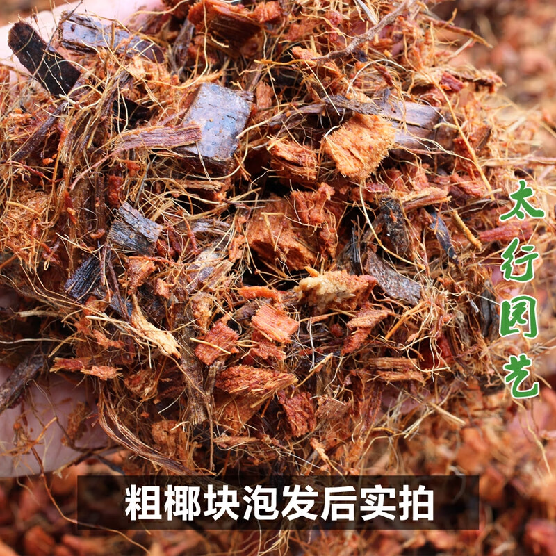 粗椰磚椰塊絲 蘭花植料粗耶糠椰子殼塊 紅掌金錢樹盆栽綠植營養(yǎng)土 進(jìn)口粗耶殼塊4.5斤