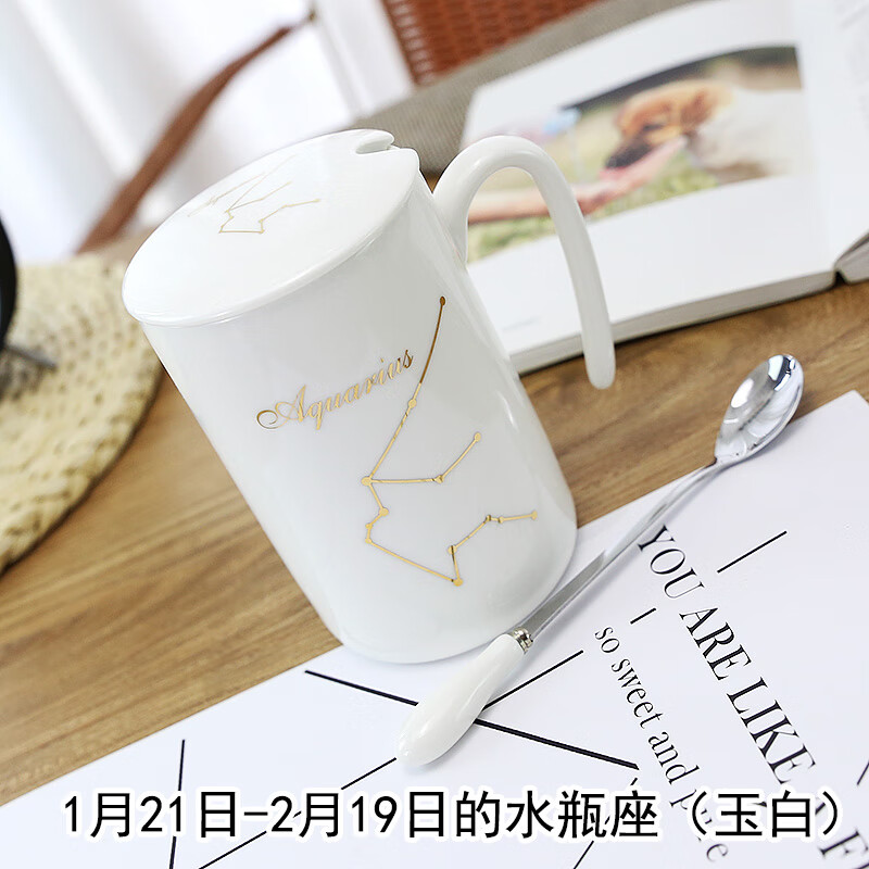 nosin诺轩黑白十二星座杯陶瓷马克杯创意情侣杯子办公室水杯咖啡杯带