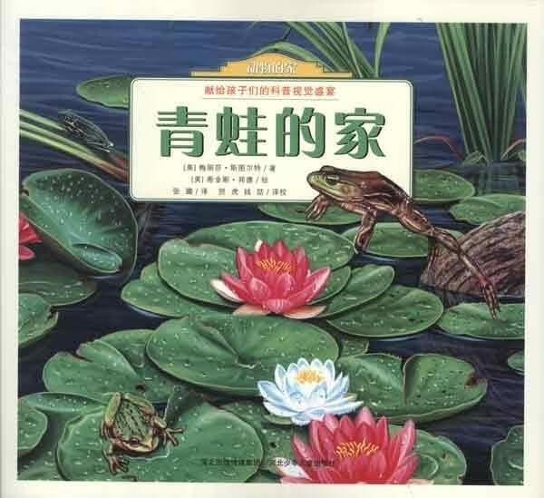 动物的家 青蛙的家 【正版】