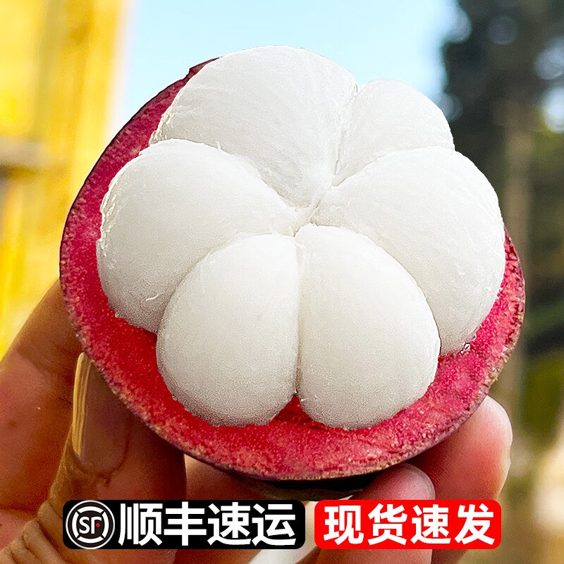 查询京东山竹价格走势|山竹价格走势图