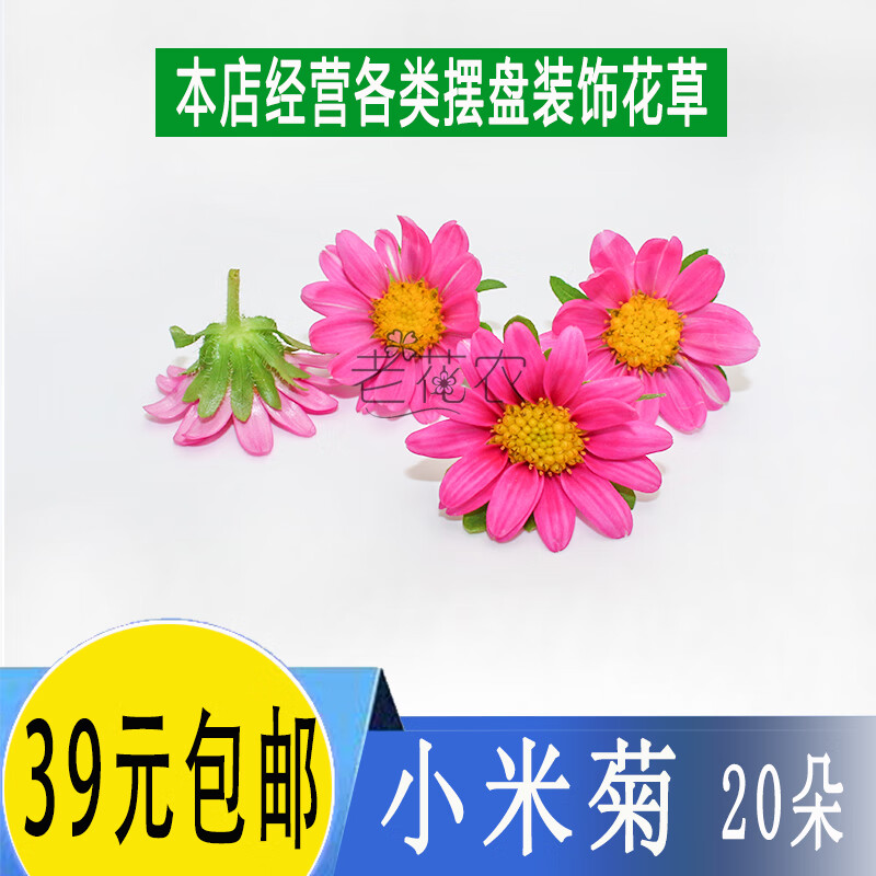 隽颜堂小米菊新鲜菊花 食用花雏菊花酒店西餐摆盘装饰点缀小菊花约20
