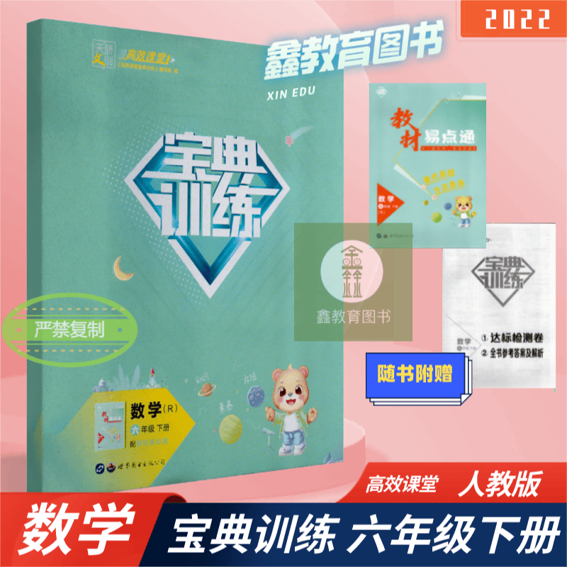 2022版宝典训练数学六年级下册人教版 高效课堂数学6年级下同步训练 易点通 一本在手 练考无忧 9 数学 小学六年级