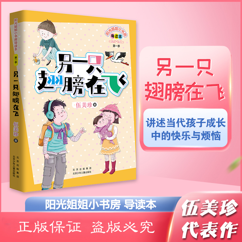 阳光姐姐小书房导读版另一只翅膀在飞北京少年儿童 另一只翅膀在飞