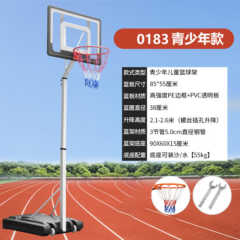迪恪赛威（DIKESAIWEI）室外移动升降篮球架成人家用室内篮球框 青少年豪华（白）