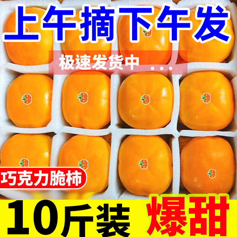 ˮ10ﵱժӦɿ𾧻Ӳ ѡ9װ 8.5