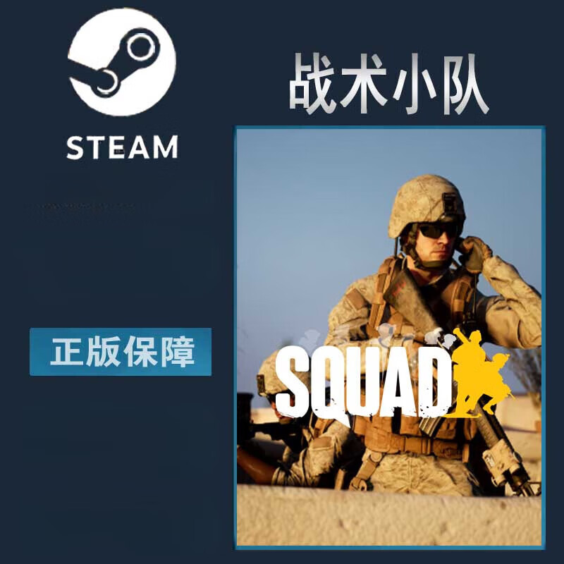 steam pc正版 squad 战术小队 国区激活码 行动小组 激活码 标准版 区