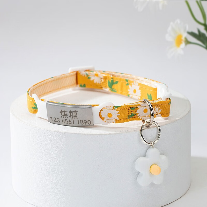 猫咪项圈刻字猫牌舒服可爱小防丢失定制项链宠物挂牌猫猫脖圈饰品