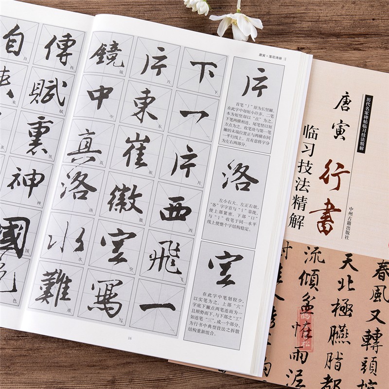 唐寅行书临习技法精解 历代名家碑帖临习技法精解落花诗册 唐伯虎毛笔书法入门教程教材