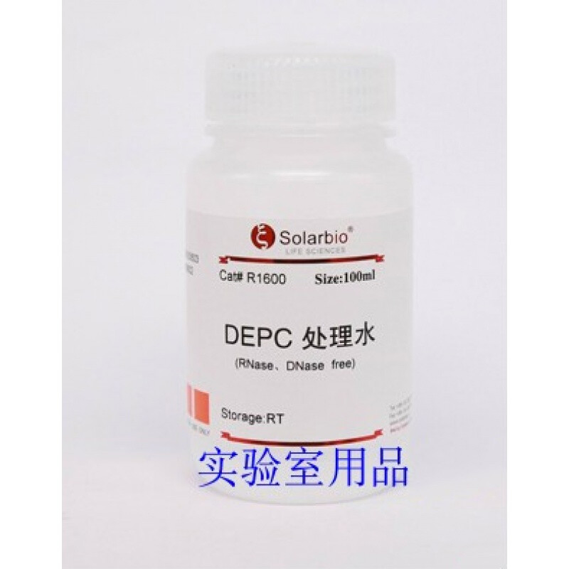适用于无酶无菌水epc处理水   北京索莱宝nase/rnase-free water 100