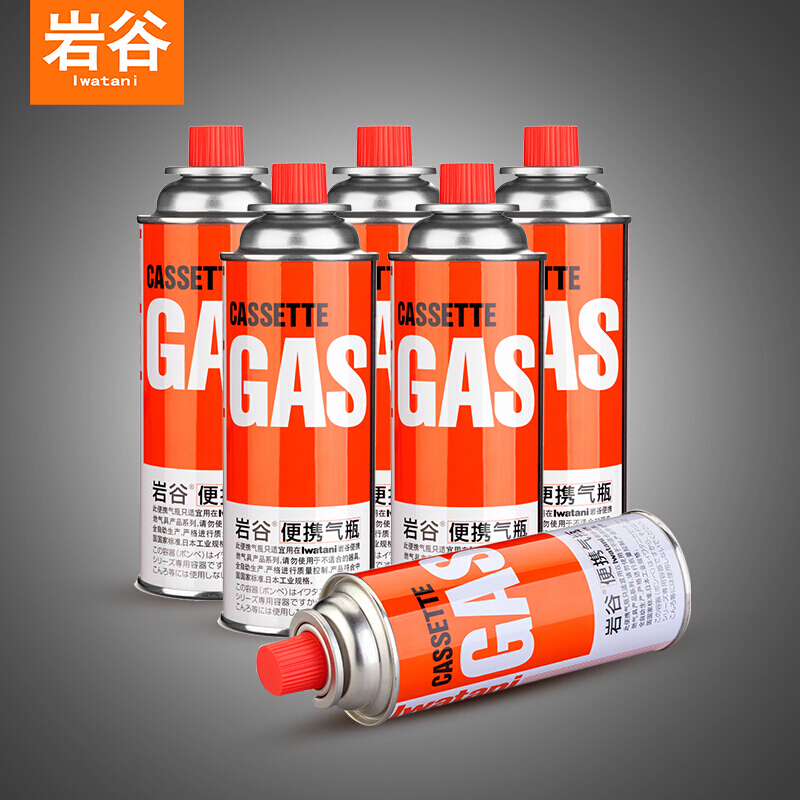 岩谷（Iwatani）6罐装丁烷气防爆气罐 自驾游装备 250g气罐 卡式炉气罐 厂家直发
