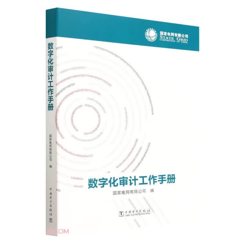 数字化审计工作手册