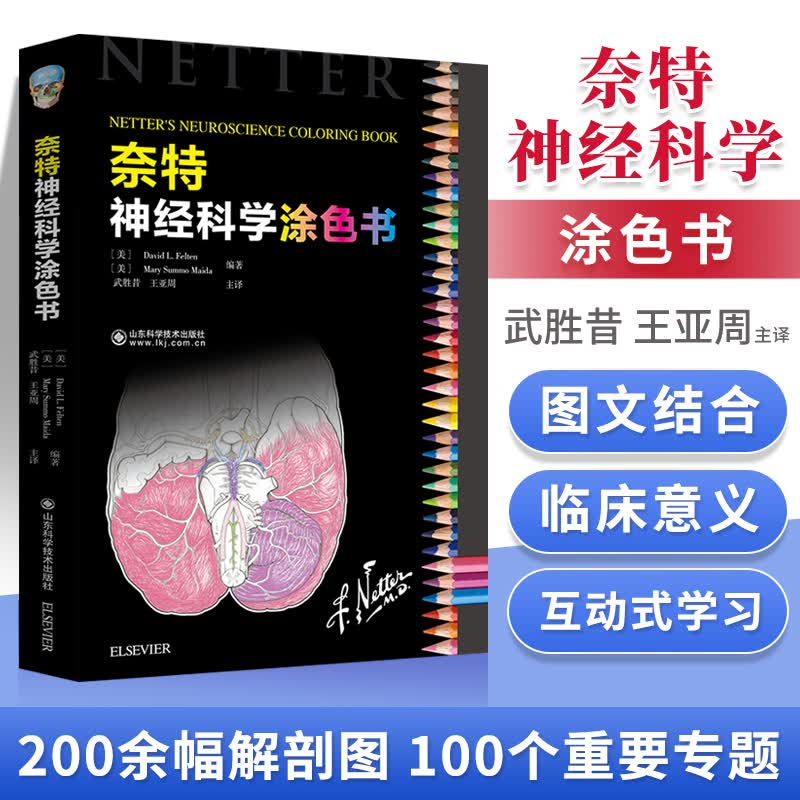 正版奈特神经科学涂色Frank H. Netter武胜昔译剖学的知识以及常见的神经系统病理学基础知