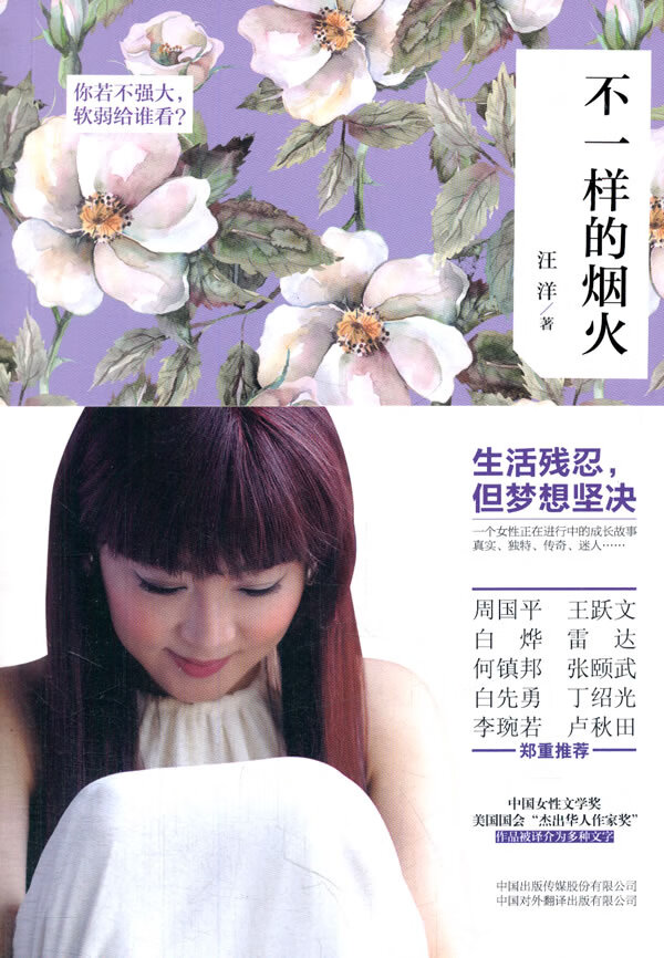 不一样的烟火