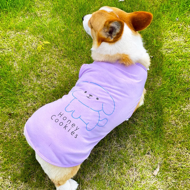 衣服夏季薄款柴犬比熊防掉毛中型犬幼犬春秋柯基背心可爱宠物 紫色 薄