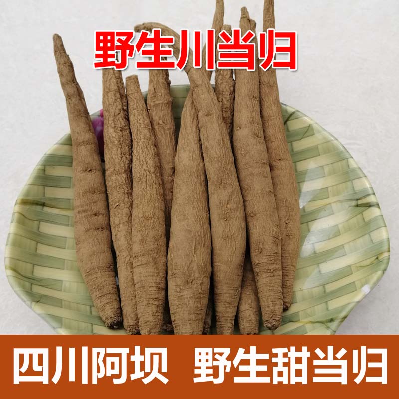 康中尊 四川阿坝甜当归野外生整根高原西归中药原材500g