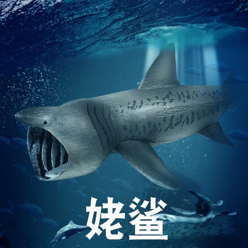 儿童海洋生物玩具塑胶模型姥鲛滤食鲨深海鲸鱼仿真动物认知手办 姥鲨