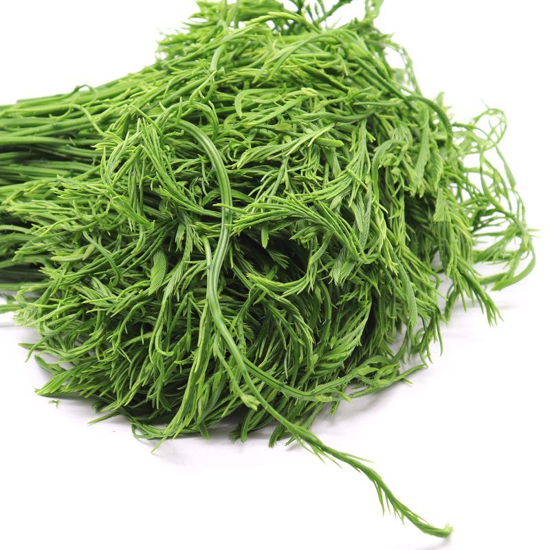 欧贤禾云南臭菜羽叶金合欢德宏傣族绿叶宴帕哈炒鸡蛋重口味蔬菜 半斤