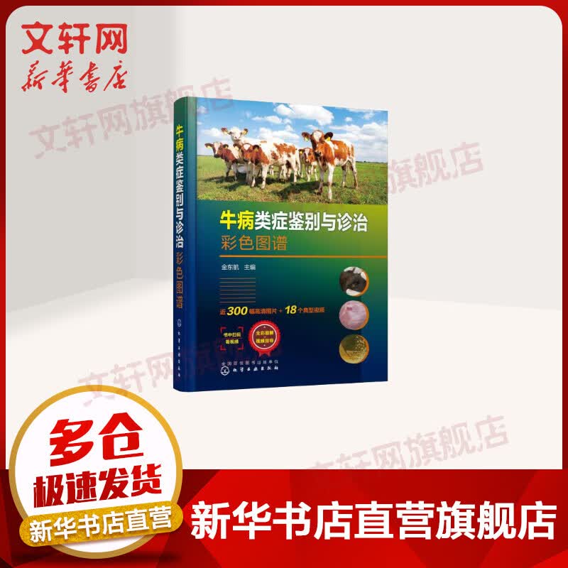 牛病类症鉴别与诊治彩色图谱化学工业出版社牛病常见病诊断全书 肉牛养殖书 牛饲料配方饲养管理 牛病牛疫牛瘟类症鉴别防治实用手册 养牛技术大全书籍