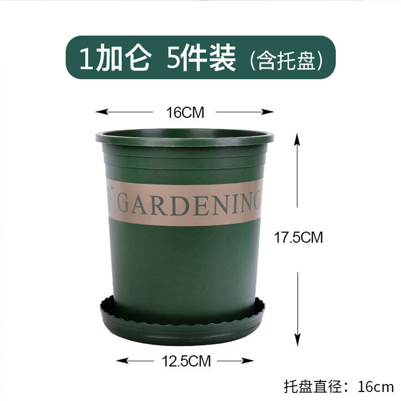 行湘 加仑盆园艺花盆绿萝多肉花盆栽种家居塑料花盆图案随机   1加仑