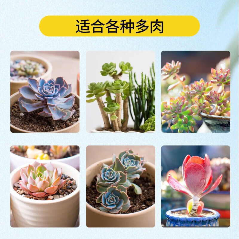 多肉白粉病专用剂杀菌防虫救白粉斑烂根化水黑腐植物通用多菌灵 一瓶体验装