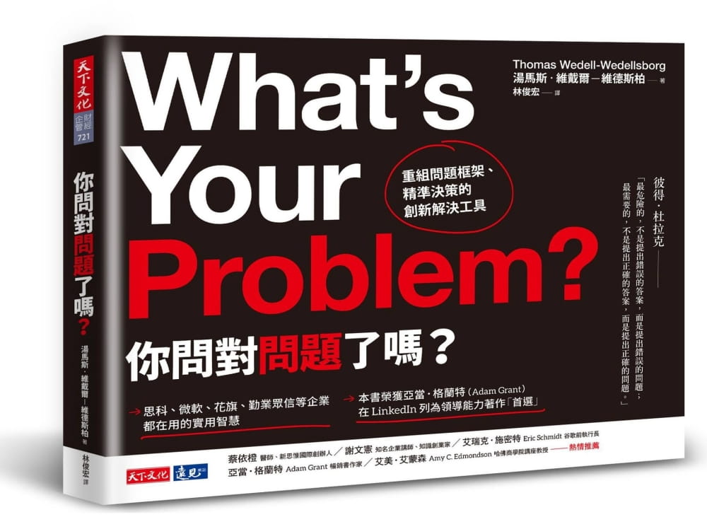 现货 原版进口书 汤马斯．维戴尔－维德斯柏你问对问题了吗？：重组问题框架、精准决策的创新解决工