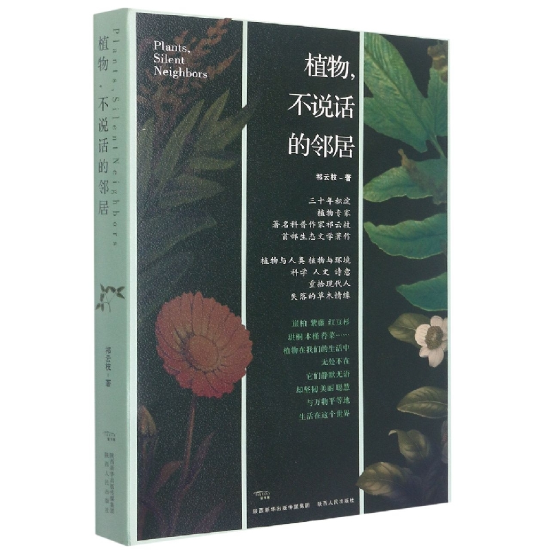 植物不说话的邻居