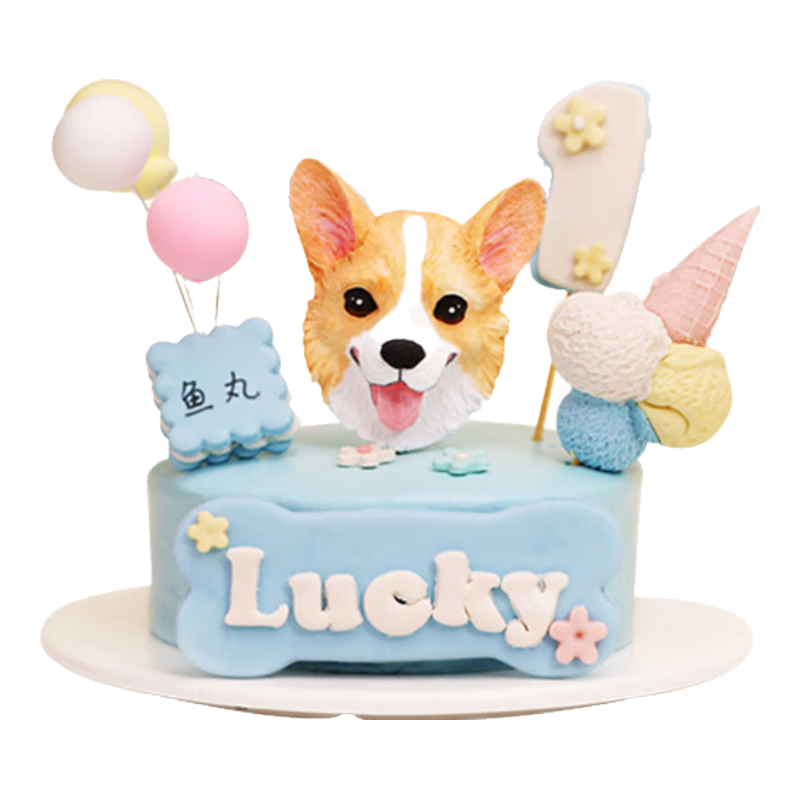  ˳ֱ յ èʳ ޼ڵ ֱ9.5cmԼ260g 79Ԫ