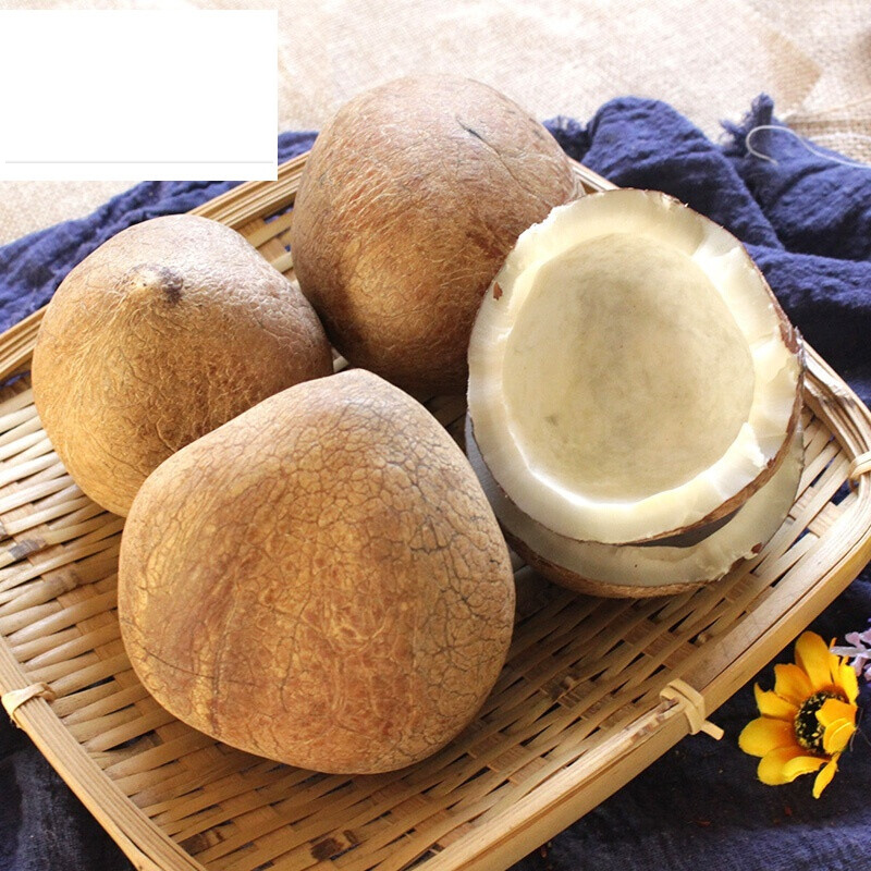 味巴哥干货印度椰子皇海椰子皇新鲜天然椰青王煲炖汤甜品椰皇斤装个