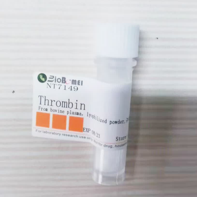 沈阳1000-5000借钱的简单介绍