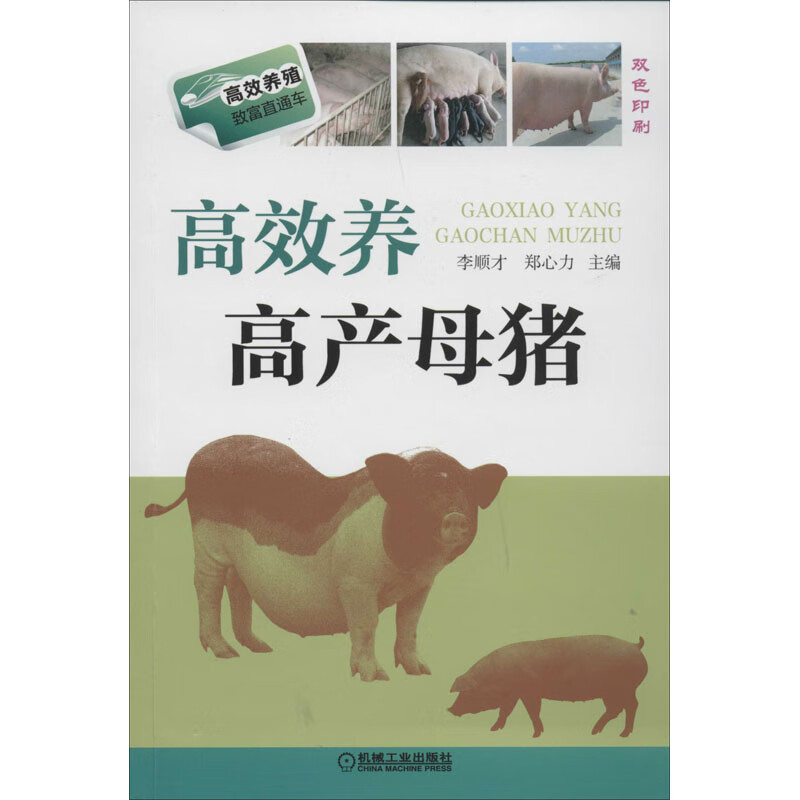 高效养高产母猪